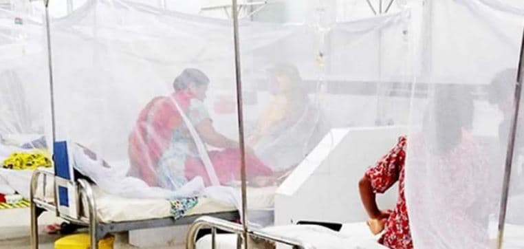 ডেঙ্গুতে আরও ৬ জনের মৃত্যু, হাসপাতালে ভর্তি ৯৮৩