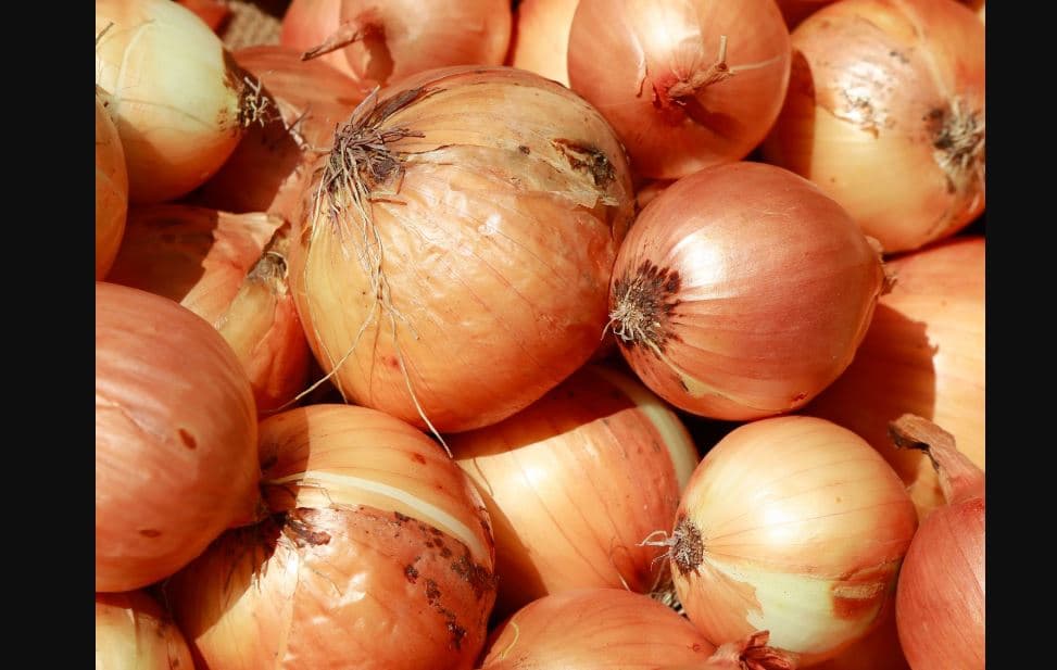 দুই দিনে ২৫ টাকা বেড়ে পেঁয়াজের কেজি ১১০-২০, ব্যবসায়ীদের আমদানি দাবি