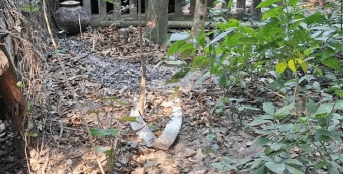 বিজয় দিবসে মুক্তিযোদ্ধার কবরে আগুন, তদন্তের নির্দেশ