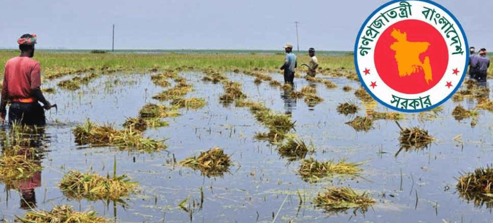 হাওরাঞ্চলের ধান-চাল সংগ্রহে নতুন তারিখ নির্ধারণ