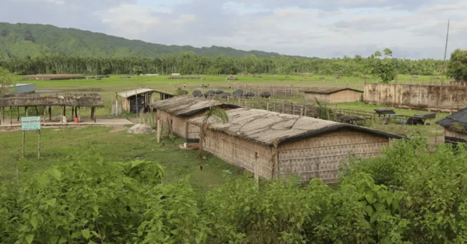টেকনাফে অপহরণের পর তিনজনকে গলা কেটে হত্যা