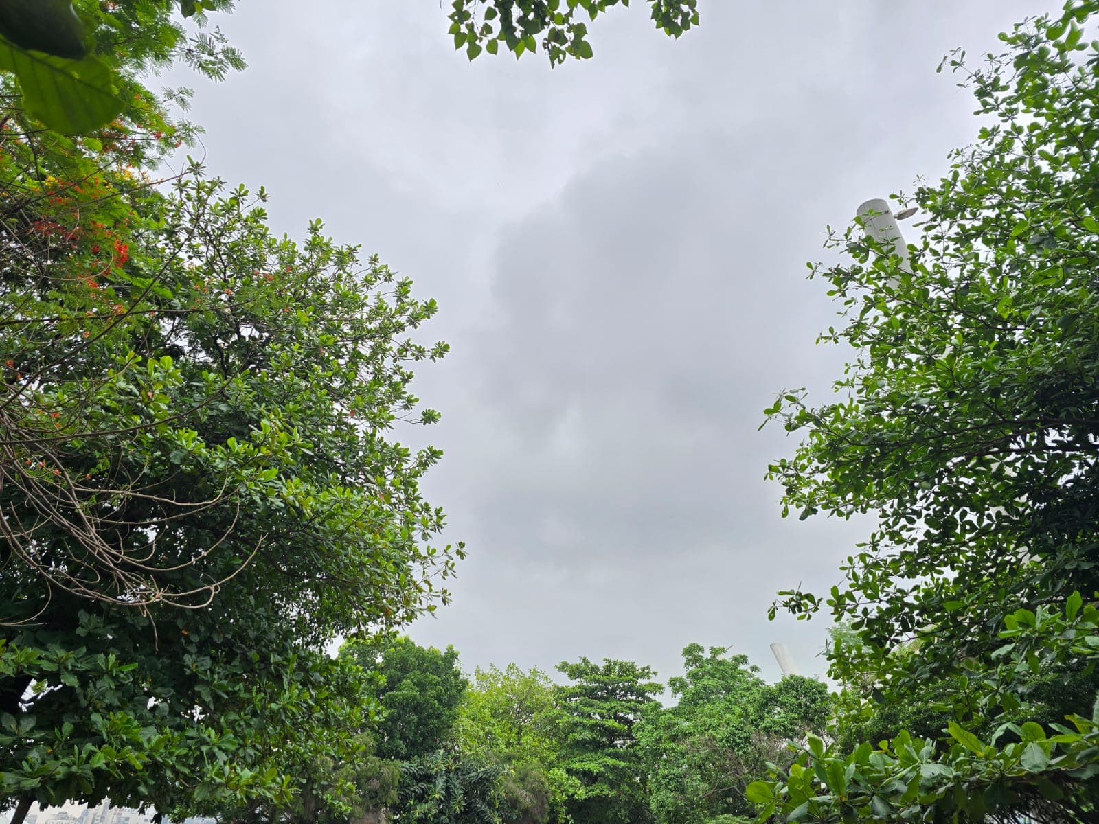 ঢাকাসহ ৪ বিভাগে অতি ভারি বর্ষণের সতর্কবার্তা