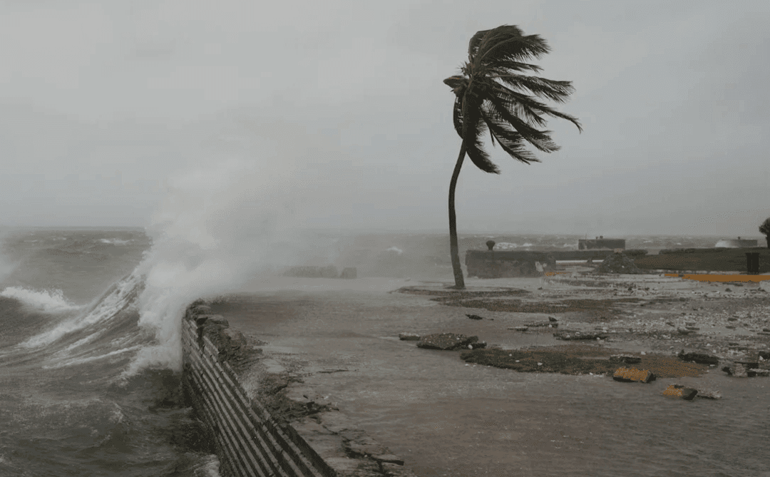 ক্যারিবীয় অঞ্চলে মেলিসার ভয়াবহ তাণ্ডব, ঘরবাড়ি-বন্দর ধ্বংসস্তূপে পরিণত, নিহত ২৫