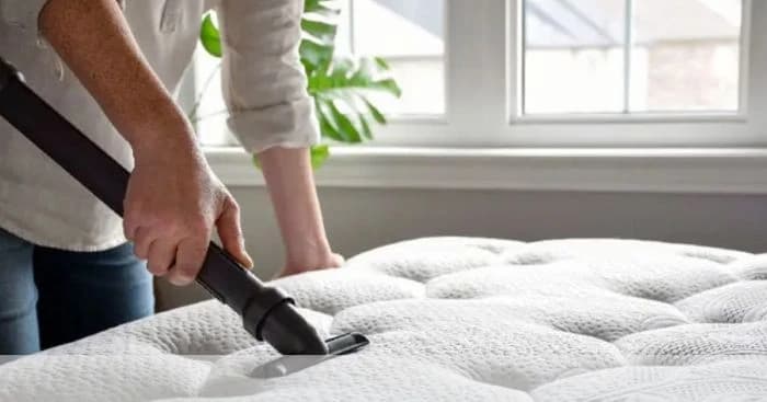 ঘরেই তোশক পরিষ্কারের সহজ ও কার্যকর উপায়