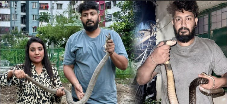ঢাকায় বিষধর গোখরার দেখা মিলছে কেন?