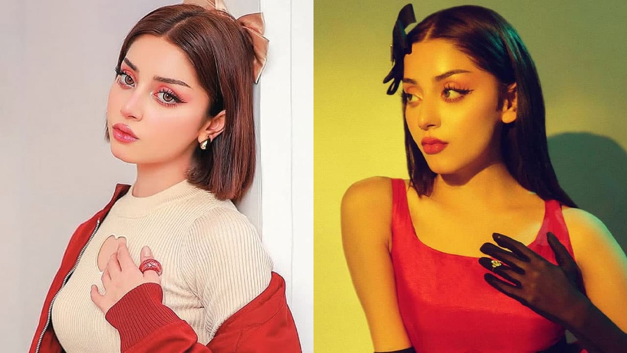 লজ্জায় পড়ে সব ছবি-পোস্ট ডিলিট করে দিলেন পাকিস্তানি অভিনেত্রী