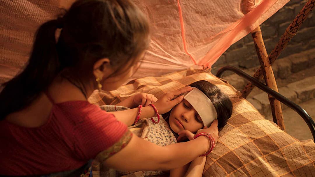 ডেঙ্গুতে প্লাটিলেট বাড়াতে সাহায্য করে যেসব ফল