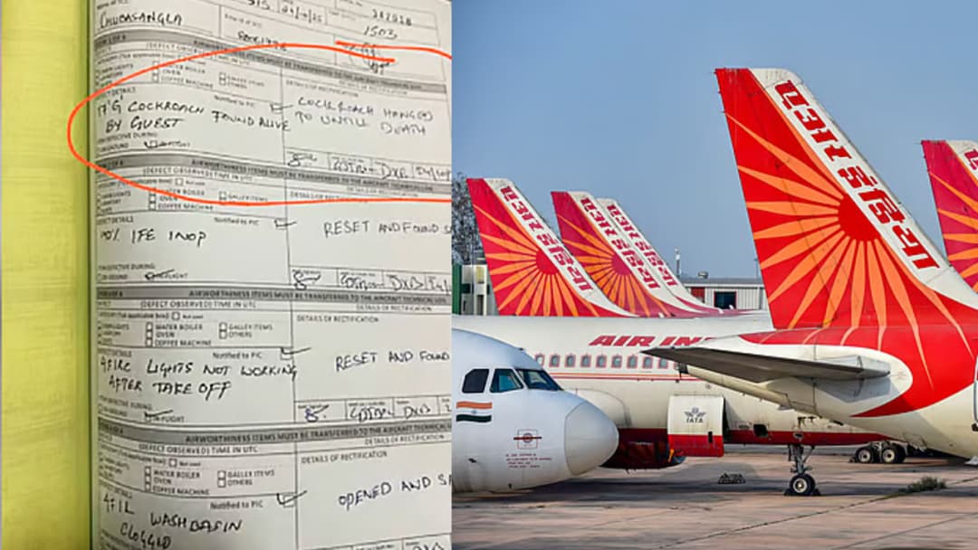 মাঝ আকাশে 'তেলাপোকাকে ঝুলিয়ে মৃত্যুদণ্ড'