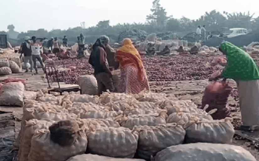 বাংলাদেশে রপ্তানি বন্ধ, সীমান্তে পচছে ভারতের ৩০ হাজার টন পেঁয়াজ