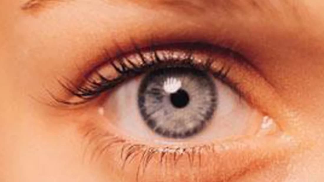 দৃষ্টিশক্তি ভালো রাখতে যা জানা জরুরি
