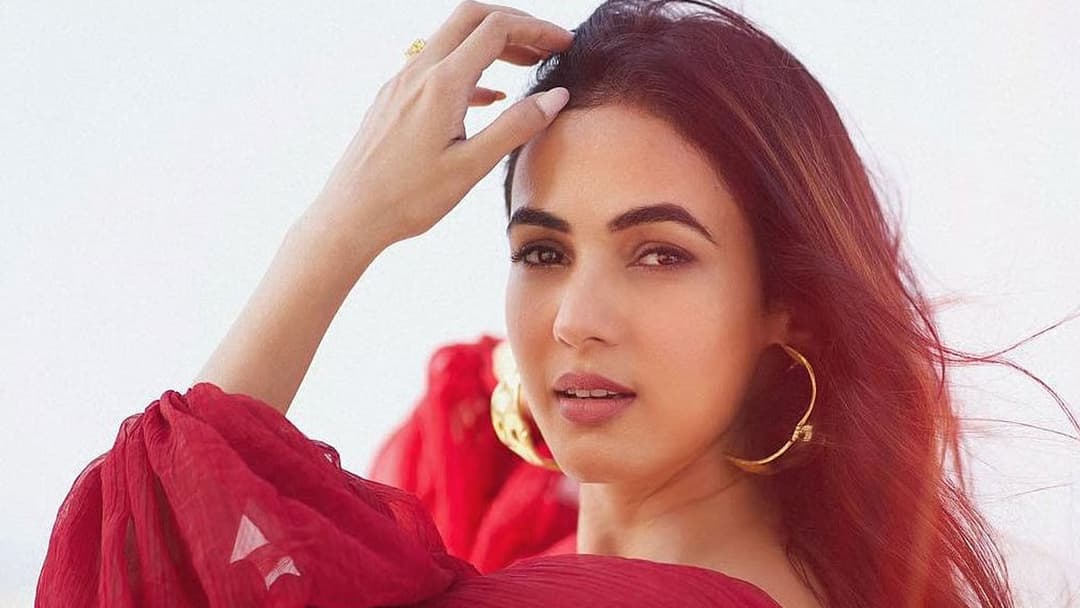 দুবাইয়ে আটকা পড়ে মোদির সাহায্য চাইলেন অভিনেত্রী