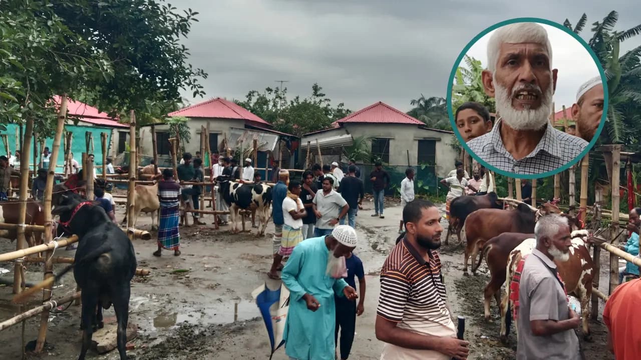ইজারা ছাড়া হাট বসিয়ে বিএনপি নেতা বললেন ‘দল ক্ষমতায়, তাই হাট করছি’